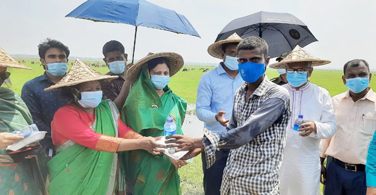 হাওরে কৃষকদের মাঝে ইফতার দিলেন হবিগঞ্জের জেলা প্রশাসক