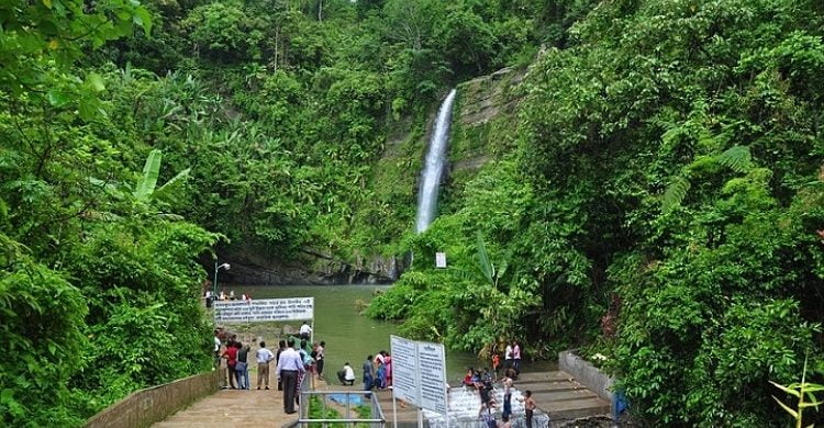 মাধবকুণ্ড জলপ্রপাতের ছড়ায় করোনা রোগীর মরদেহ