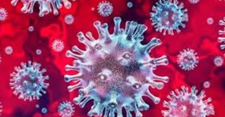 দেশে করোনায় আবারও  মৃত্যু ও শনাক্ত বেড়েছে