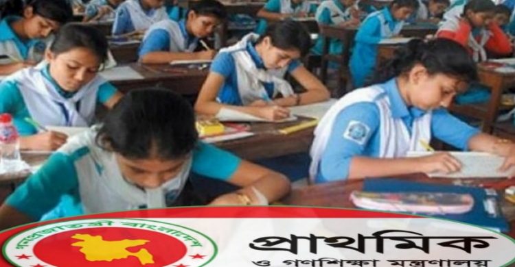বাতিল হচ্ছে পিইসি পরীক্ষা, অটোপাশ না, বাড়িতে পড়ালেখা কতটুকু হয়েছে দেখে নতুন শ্রেণীতে