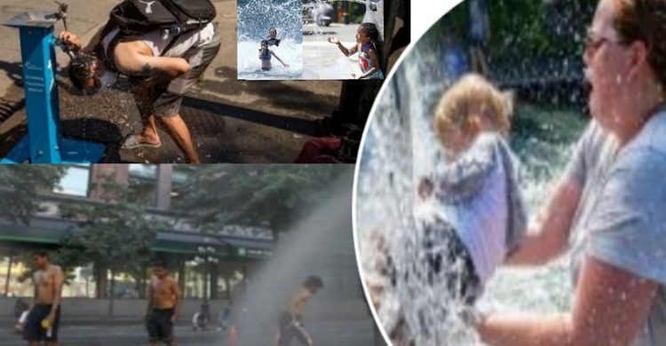 প্রচণ্ড শীতের দেশে প্রচণ্ড গরম, তাপপ্রবাহে ২৩০ জনের মৃত্যু