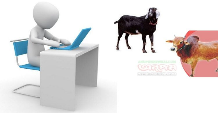 অনলাইন প্লাটফরমে প্রতিদিন গড়ে ২৫ হাজার কোরবানির পশু বিক্রি