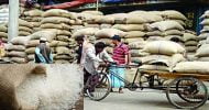 এমপিদের সঙ্গে পরামর্শ করে সরকারি চাল বরাদ্দের জিও চুড়ান্ত করার সুপারিশ