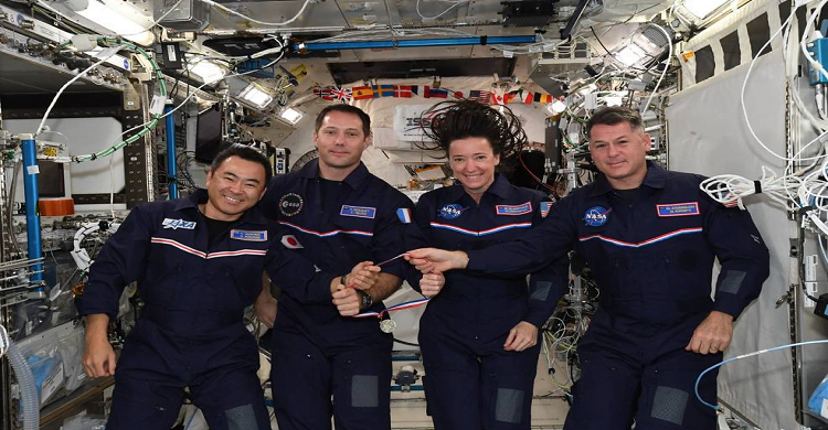 নেপি পরেই তাদের পৃথিবীতে ফিরতে হবে