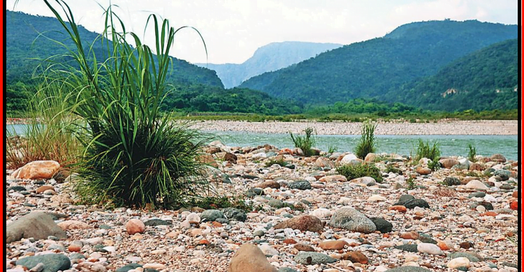 সিলেটের পতিত জমি ব্যবহার করতে ২০০ কোটি টাকার প্রকল্প