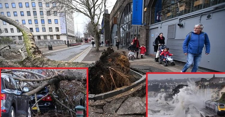 ইউরোপের উত্তরপশ্চিমাঞ্চল ঘূর্ণিঝড়ে লন্ডভন্ড, মৃত্যু ৮