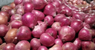 ২০-২২ টাকা কমলো পেঁয়াজের দাম, আরও কমবে