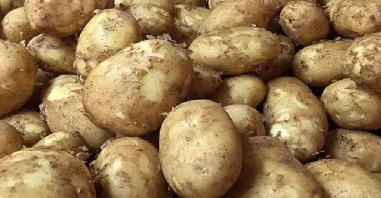 সিলেটে ১২/১৫ টাকার আলুর কেজি এখন ২০/২৫ সপ্তাহের ব্যবধানে