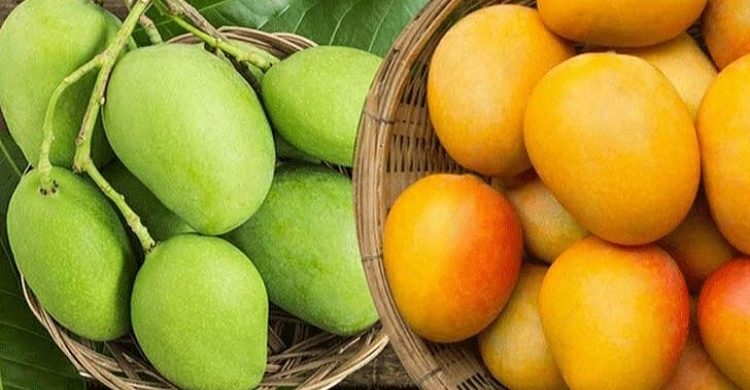 ৫২৫ কেজি আম আবর্জনার ডাম্পিংয়ে যেকারণে