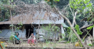 হাজার কোটি টাকা পাচারকারীর জীর্ণ টিনশেড ঘর