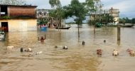 সিলেট ফের বন্যার কবলে