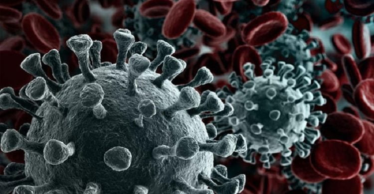 ওমিক্রনের নতুন সাবভেরিয়েন্ট দেশে