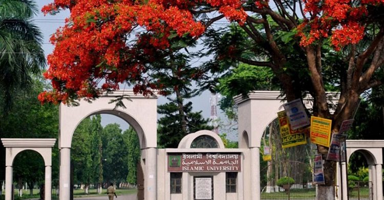 ক্যাম্পাসে ফিরে নির্যাতনের বর্ণনা দিয়েছেন ইবি ছাত্রী