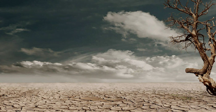 বৈশ্বিক উষ্ণতা: মানুষের স্বাস্থ্য যেভাবে হুমকির মুখে