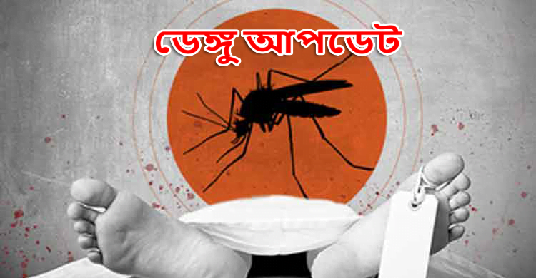 ডেঙ্গু : আরও ১১ জনের মৃত্যু, হাসপাতালে ১৩৩৩