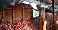 ভারত ১৬৫০ টন পেঁয়াজ কিনছে বাংলাদেশের জন্য