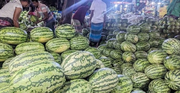বয়কটের ডাকে অর্ধেক দামে তরমুজ, তবুও ক্রেতা নেই