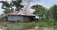 বড়লেখায় হাকালুকি হাওরপারে ‘আফাল’ আতঙ্কে নির্ঘুম রাত কাটে বানভাসিদের