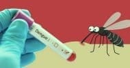 ডেঙ্গু: আরও দুজনের মৃত্যু, আক্রান্ত ২৭২