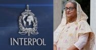 ইন্টারপোলের রেড নোটিশের মাধ্যমে কি শেখ হাসিনাকে ফেরত আনা সম্ভব?