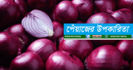 পেঁয়াজের উপকারিতা