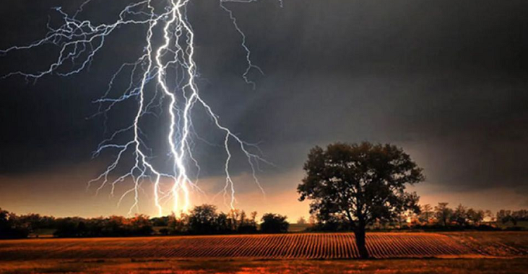 ফেঞ্চুগঞ্জে বজ্রপাতে একজন নিহত