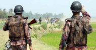 বড়লেখা সীমান্তে ফের বিএসএফের পুশইন, আটক ৪৮