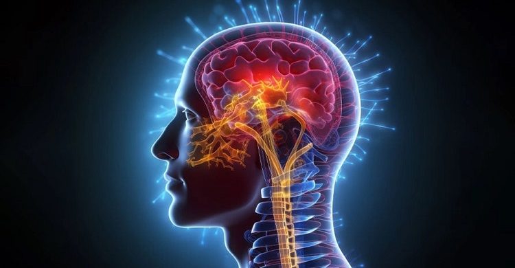 আপনার স্মৃতিশক্তি নষ্ট করছে ৩ ধরনের পানীয়