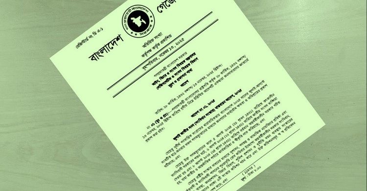 জুলাই জাতীয় সনদ বাস্তবায়ন আদেশ জারি হল